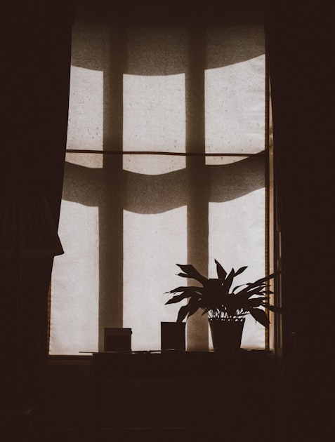 Modern Window Coverings Trends